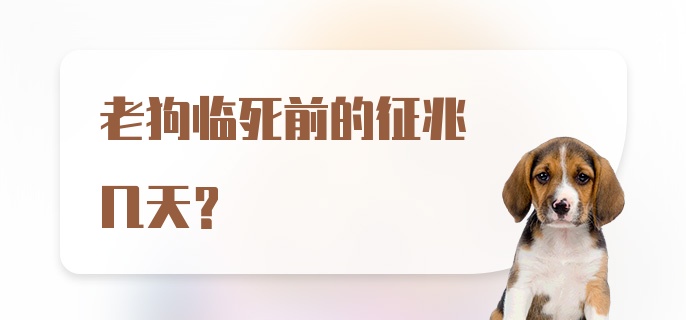 老狗临死前的征兆几天？