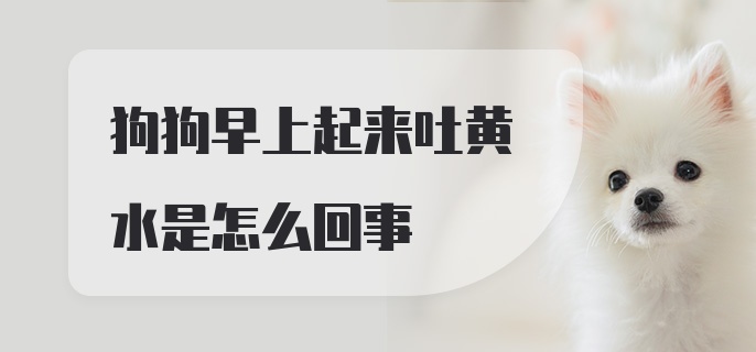 狗狗早上起来吐黄水是怎么回事