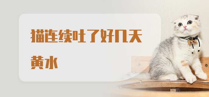 猫连续吐了好几天黄水