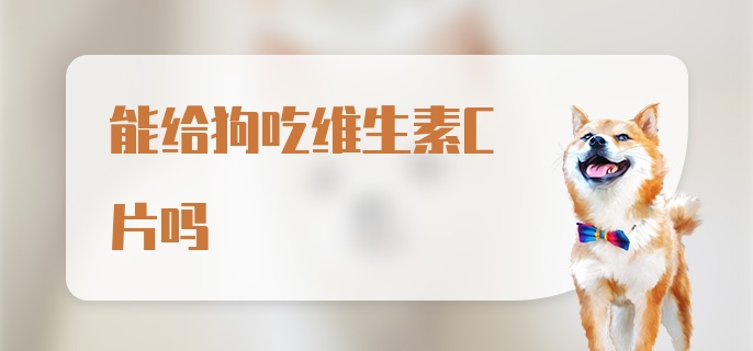 能给狗吃维生素C片吗