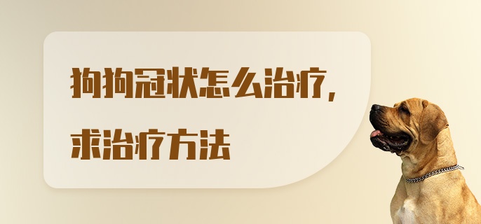 狗狗冠状怎么治疗，求治疗方法