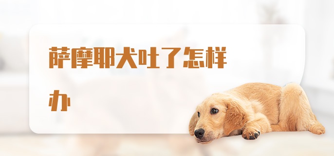 萨摩耶犬吐了怎样办