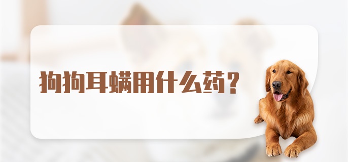 狗狗耳螨用什么药？