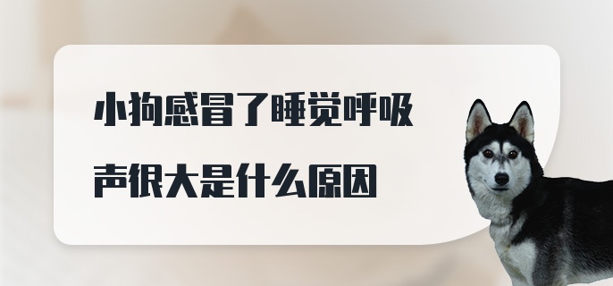 小狗感冒了睡觉呼吸声很大是什么原因