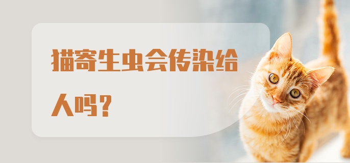 猫寄生虫会传染给人吗？