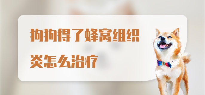 狗狗得了蜂窝组织炎怎么治疗