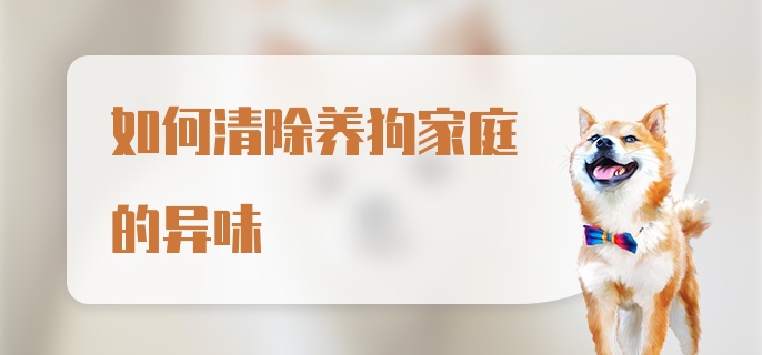 如何清除养狗家庭的异味