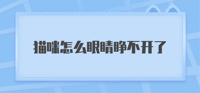 猫咪怎么眼睛睁不开了