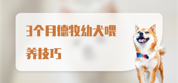 3个月德牧幼犬喂养技巧