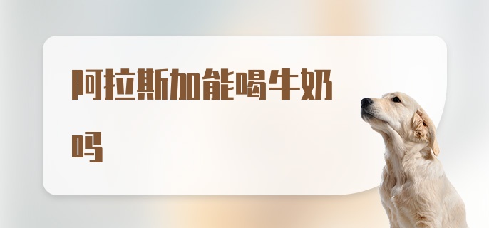 阿拉斯加能喝牛奶吗