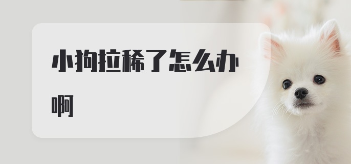 小狗拉稀了怎么办啊