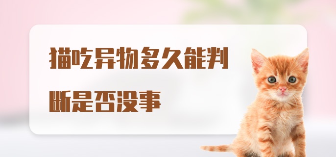 猫吃异物多久能判断是否没事