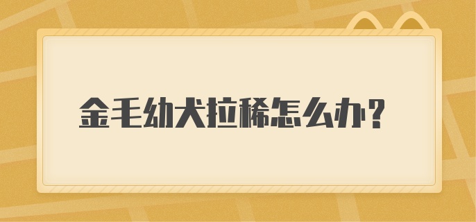 金毛幼犬拉稀怎么办?