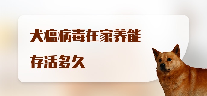 犬瘟病毒在家养能存活多久