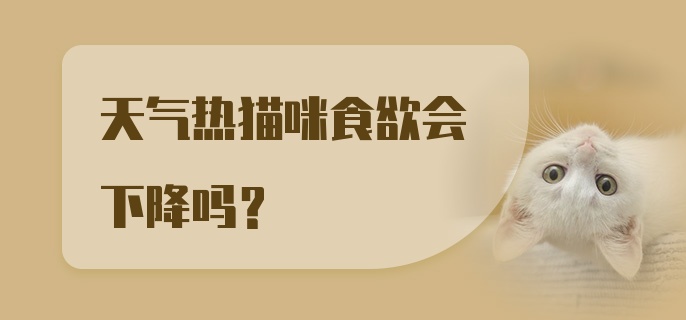 天气热猫咪食欲会下降吗？