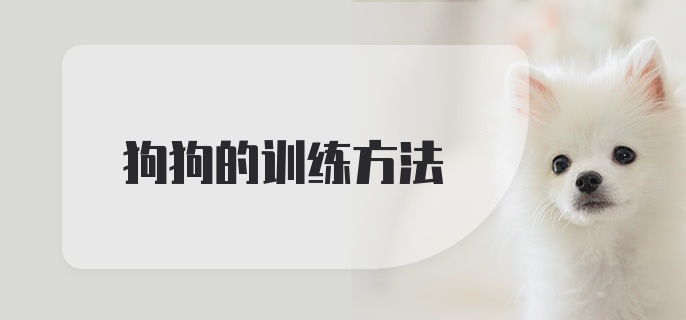 狗狗的训练方法