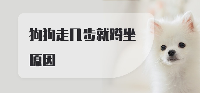 狗狗走几步就蹲坐原因