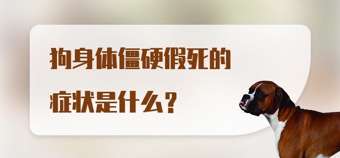 狗身体僵硬假死的症状是什么？