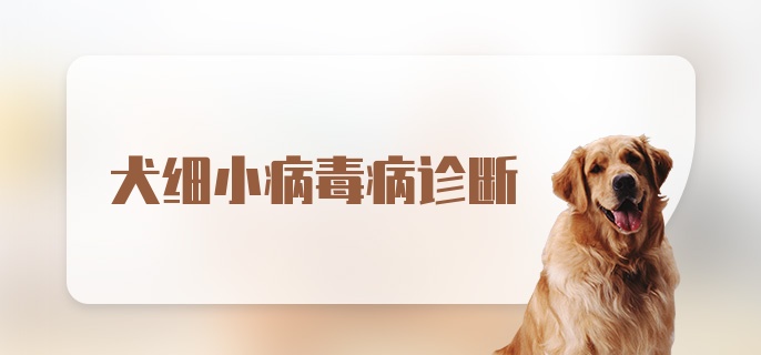 犬细小病毒病诊断