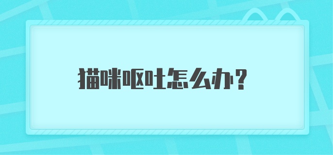 猫咪呕吐怎么办?