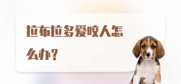 拉布拉多爱咬人怎么办？