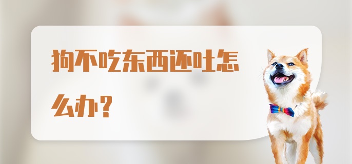 狗不吃东西还吐怎么办？