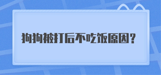 狗狗被打后不吃饭原因？