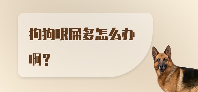 狗狗眼屎多怎么办啊？