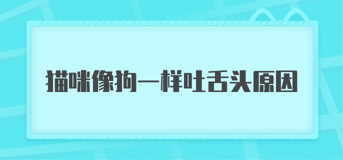 猫咪像狗一样吐舌头原因