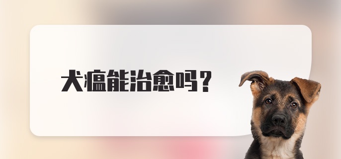 犬瘟能治愈吗？