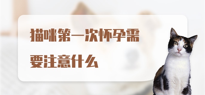 猫咪第一次怀孕需要注意什么