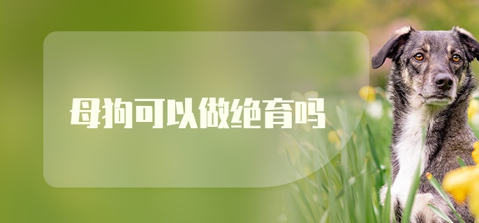 母狗可以做绝育吗