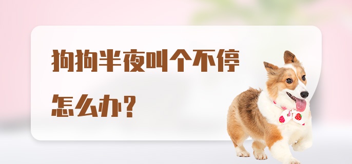 狗狗半夜叫个不停怎么办？