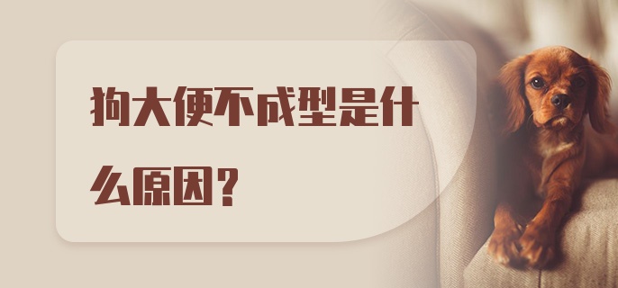 狗大便不成型是什么原因？