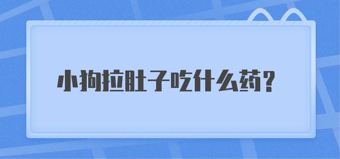 小狗拉肚子吃什么药？