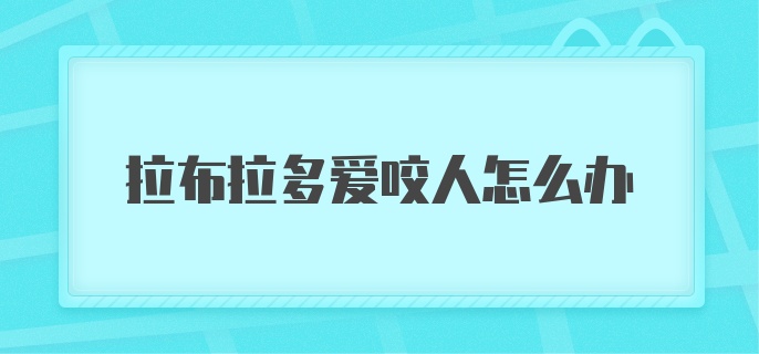 拉布拉多爱咬人怎么办