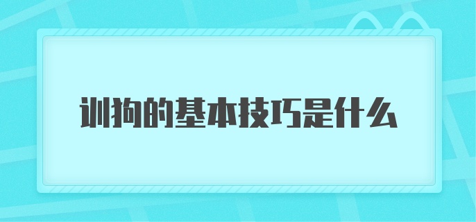 训狗的基本技巧是什么