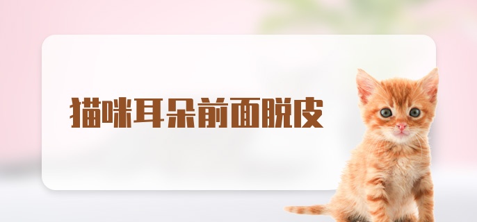 猫咪耳朵前面脱皮