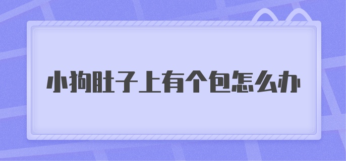 小狗肚子上有个包怎么办