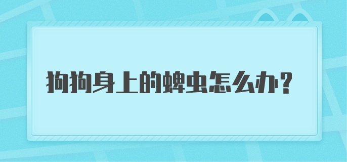 狗狗身上的蜱虫怎么办？