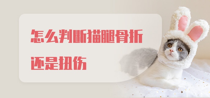 怎么判断猫腿骨折还是扭伤