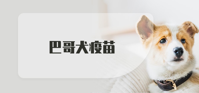 巴哥犬疫苗