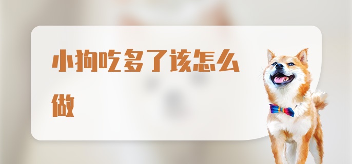 小狗吃多了该怎么做