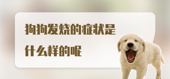 狗狗发烧的症状是什么样的呢