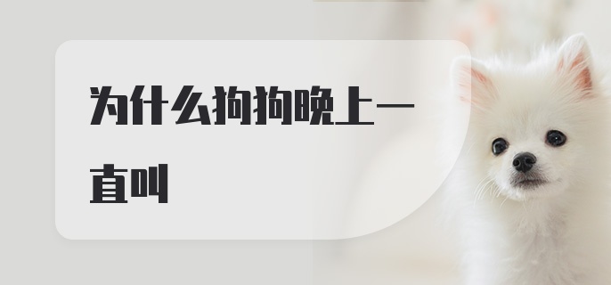 为什么狗狗晚上一直叫