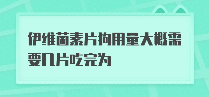 伊维菌素片狗用量大概需要几片吃完为