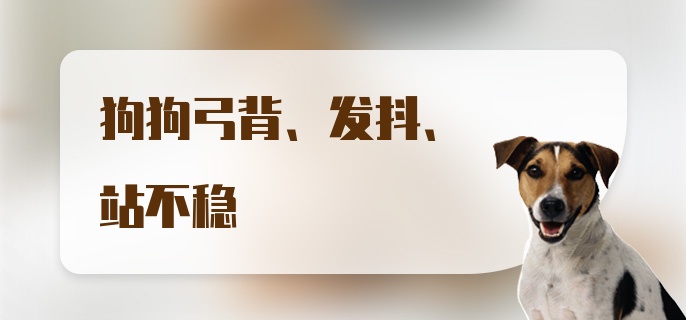 狗狗弓背、发抖、站不稳