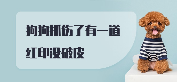 狗狗抓伤了有一道红印没破皮