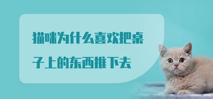 猫咪为什么喜欢把桌子上的东西推下去