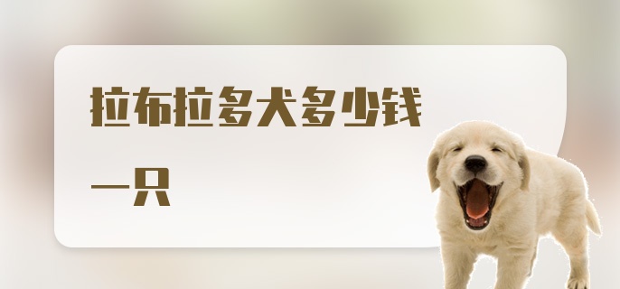 拉布拉多犬多少钱一只